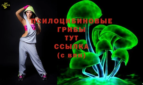 бошки Заводоуковск
