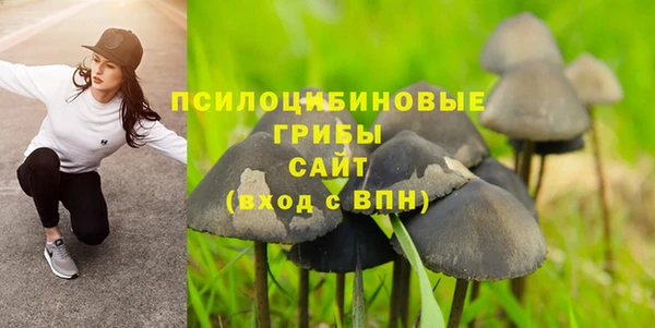 прущая мука Армянск