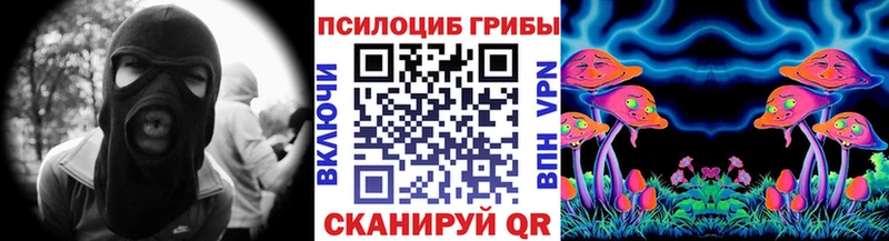 Псилоцибиновые грибы Cubensis  Гудермес 